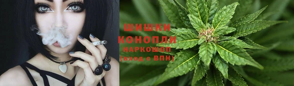 гидра Аркадак