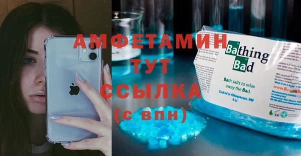 гидра Аркадак